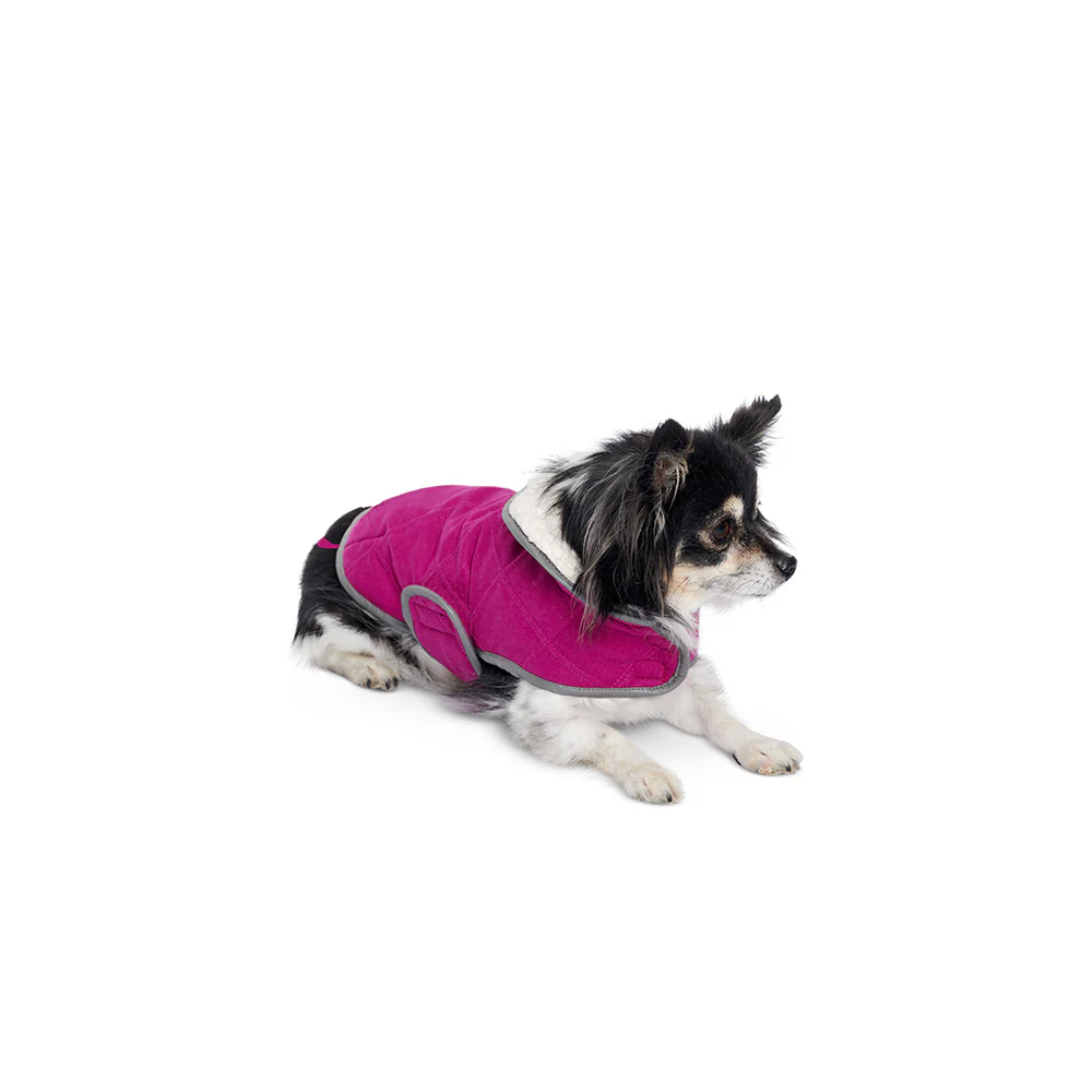 Burda X06049 Undefined Pet - Image 3