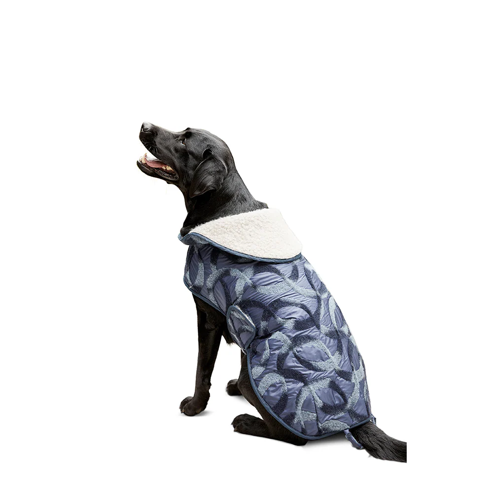 Burda X06049 Undefined Pet - Image 7