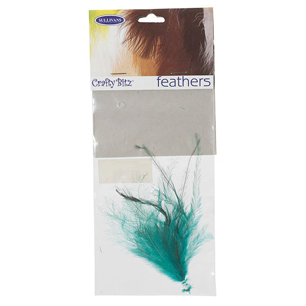 Emu Feathers, 25pc - Image 5