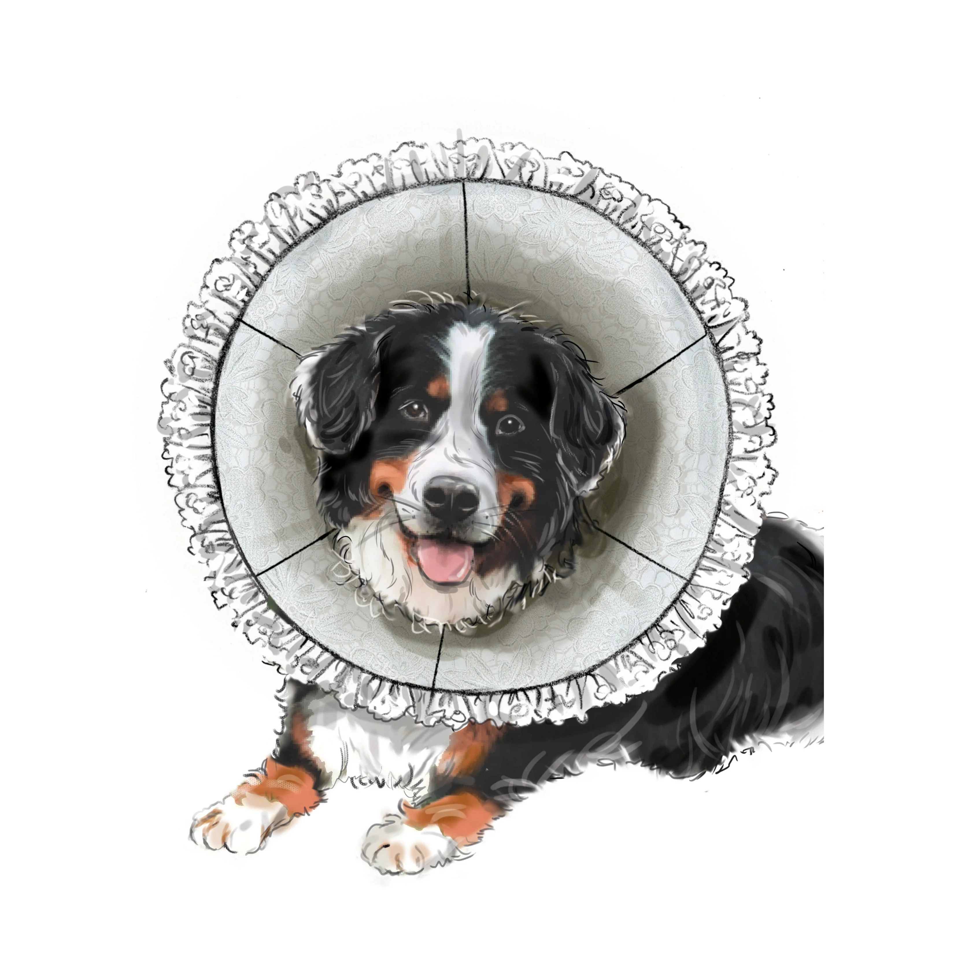 Simplicity Pattern SS9582 Pet Elizabethan Collars by Carla Reiss - Image 4